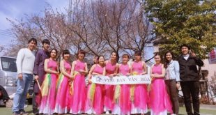 Ban chủ tịch và các thành viên Ban Văn hóa tham gia Lễ hội Sakura