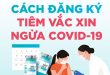 Hướng dẫn Đăng ký Online tiêm Vaccine Covid-19.