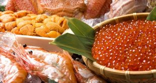 Hokkaido là nơi có nguồn hải sản phong phú và tươi ngon. Bạn có thể thưởng thức sashimi tươi ngon với cá hồi (salmon), cá trích, tôm hùm, hàu, sò điệp và nhiều loại hải sản khác.