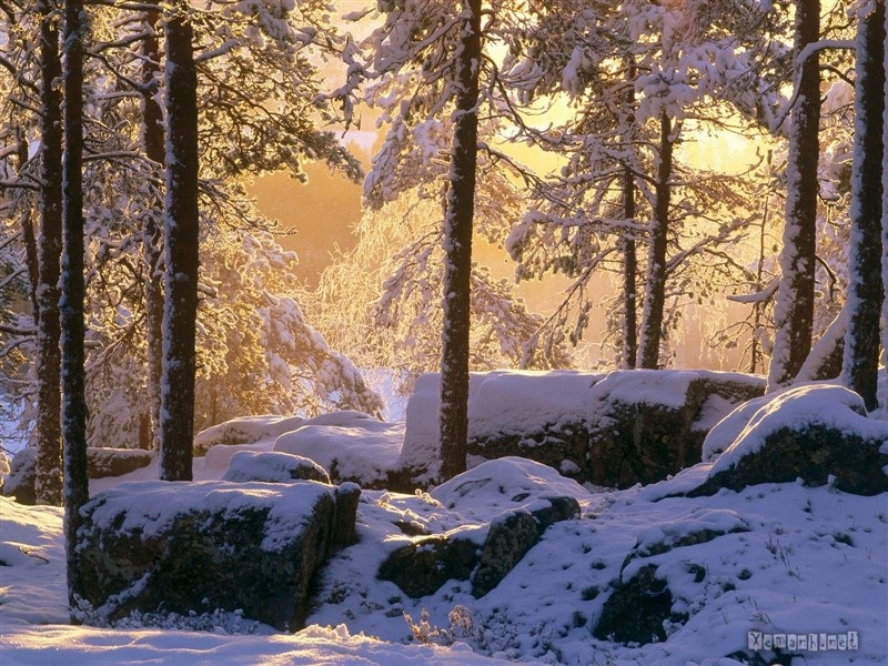 Winter sonata