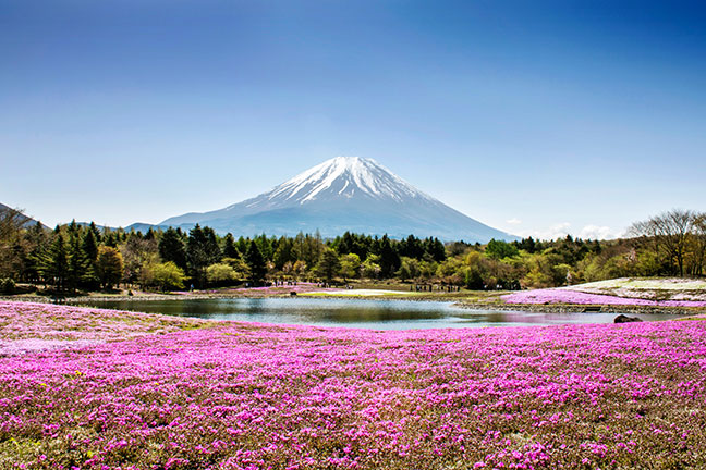 Núi Phú Sĩ vào mùa Xuân